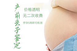 在[安徽]怀孕期间要如何办理亲子鉴定，安徽孕期亲子鉴定办理费用