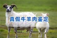 安徽羊类动物鉴定