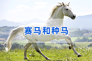安徽马类动物鉴定